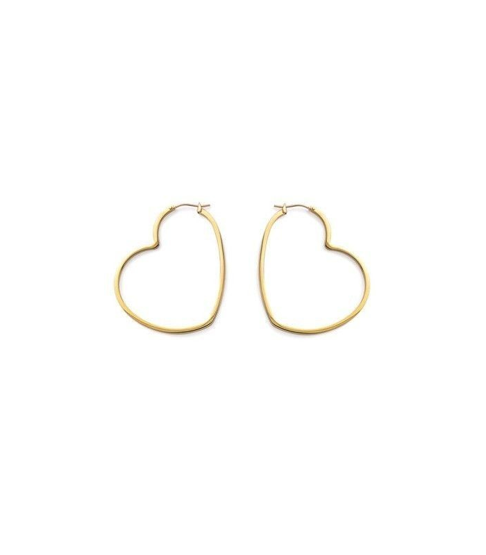 Boucle D Oreille Anneau Coeur